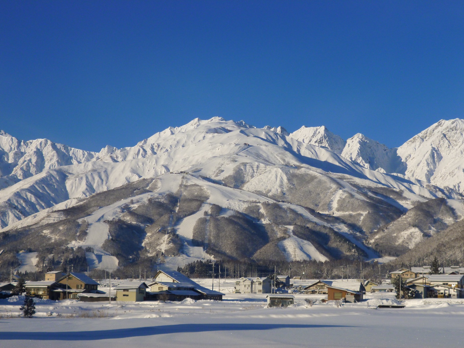 Skiers on the wide snow slopes of Happo-one in Hakuba, a popular base for Australian family ski trips to Japan